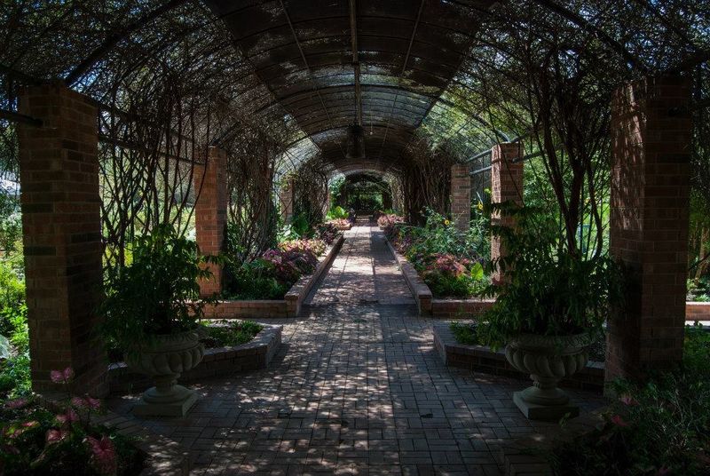 The Secret Garden That Actually Lives Up to Its Name The Secret Garden That Actually Lives Up to Its Name
