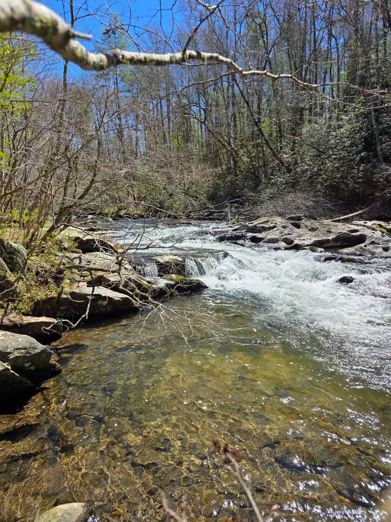 The Tellico River Offers Plenty of Ways to Spend a Quiet Day The Tellico River Offers Plenty of Ways to Spend a Quiet Day