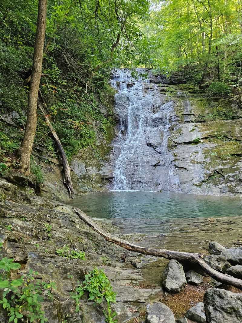 The Walk to Elrod Falls Is Short, Easy, and Worth Every Step