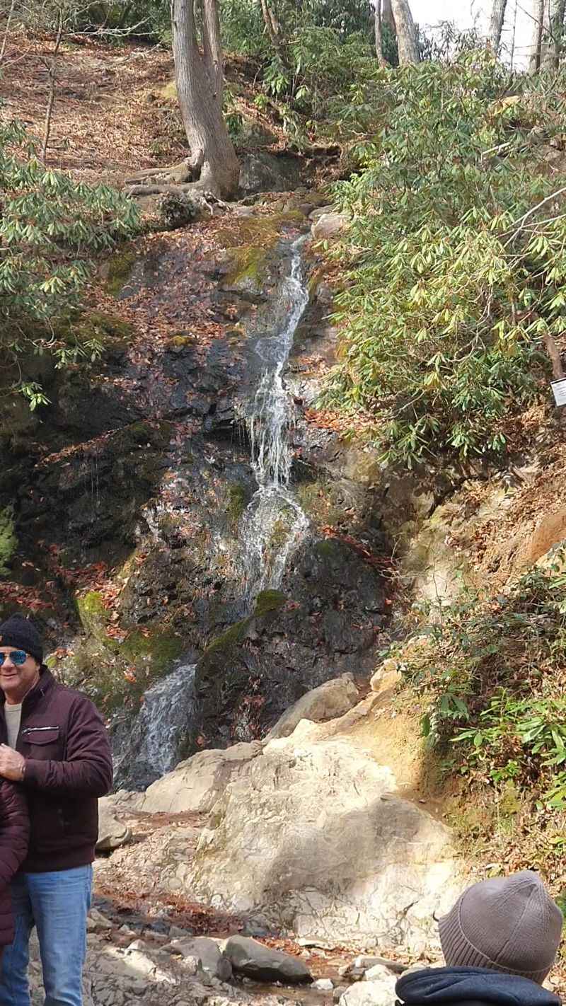 The Waterfall Itself: Small but Mighty The Waterfall Itself: Small but Mighty