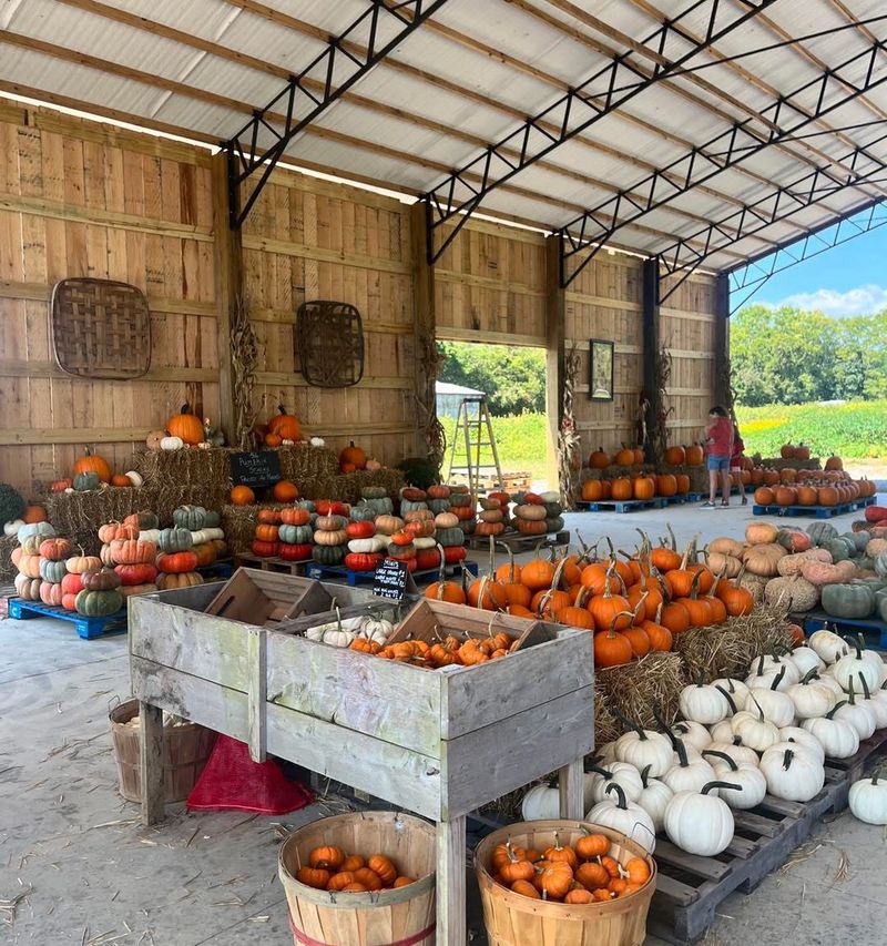 The Wilson Family Farm, College Grove The Wilson Family Farm, College Grove