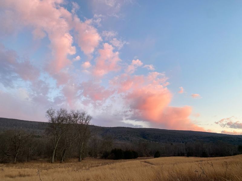 The Winding Road to The Walpack Inn