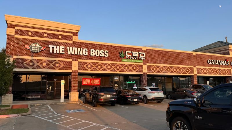 The Wing Boss (Cypress)