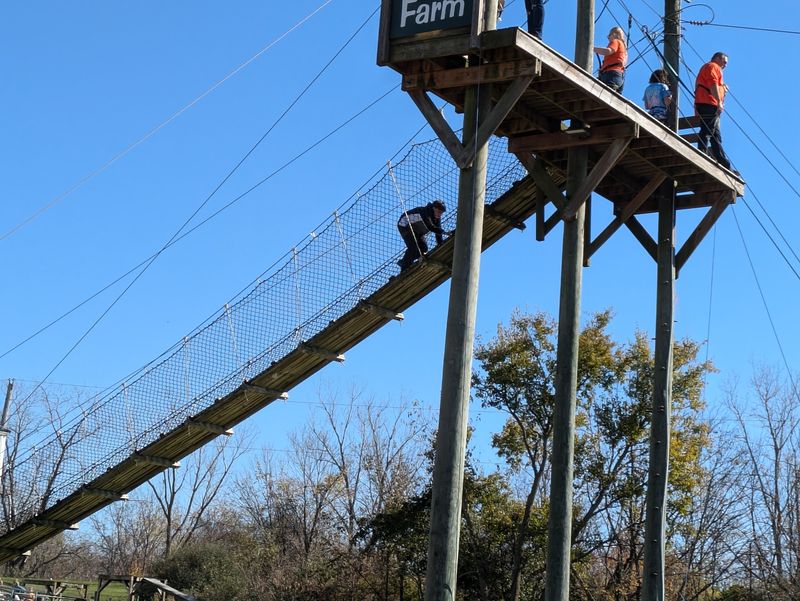 The Zipline Experience Hits Different After Dark