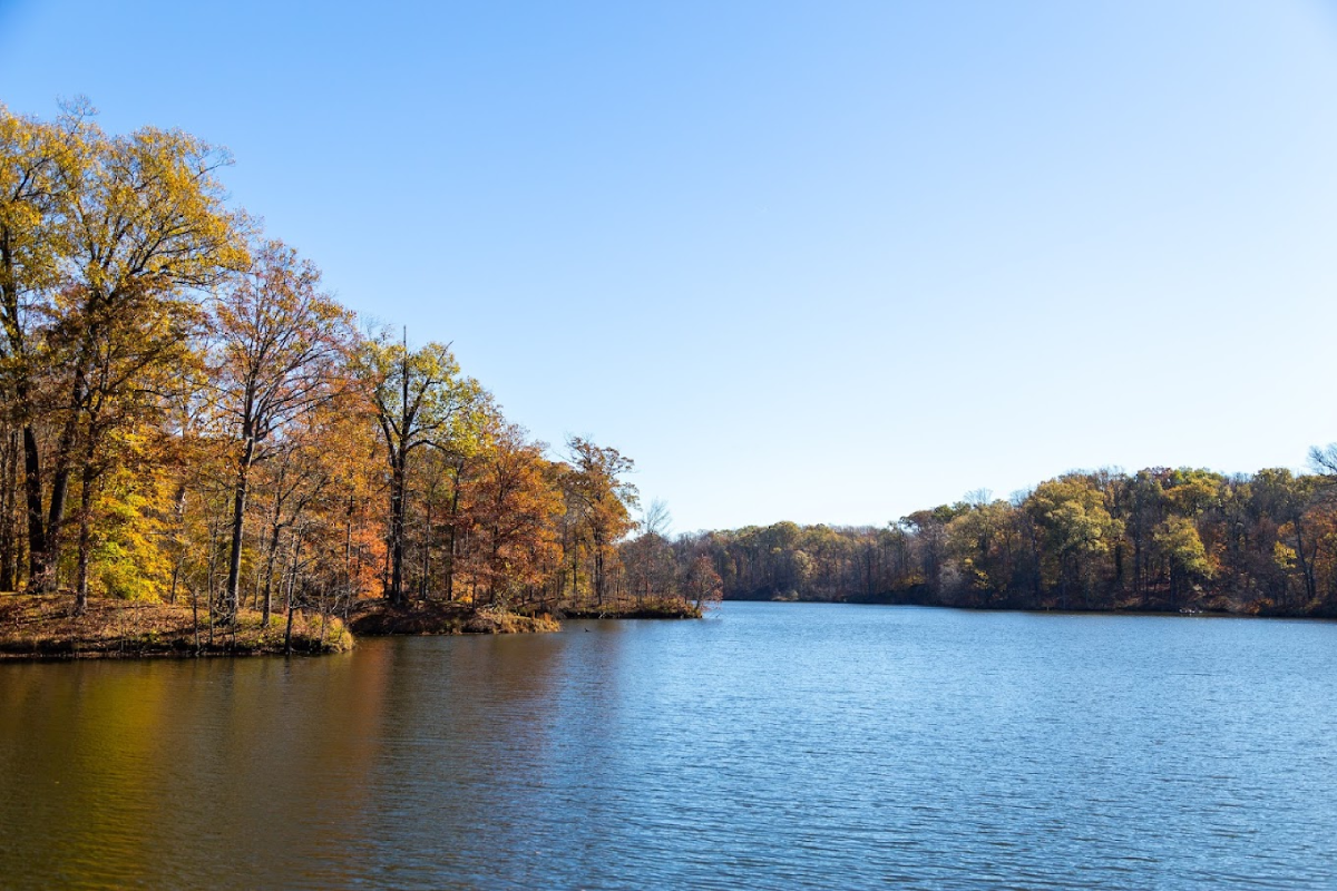 These 11 Easy Tennessee Trails Are Perfect for Spotting the First Signs of Fall