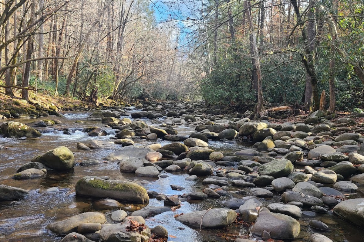 These 13 Tennessee Trails Are Perfect for Seniors Who Still Love a Good Walk