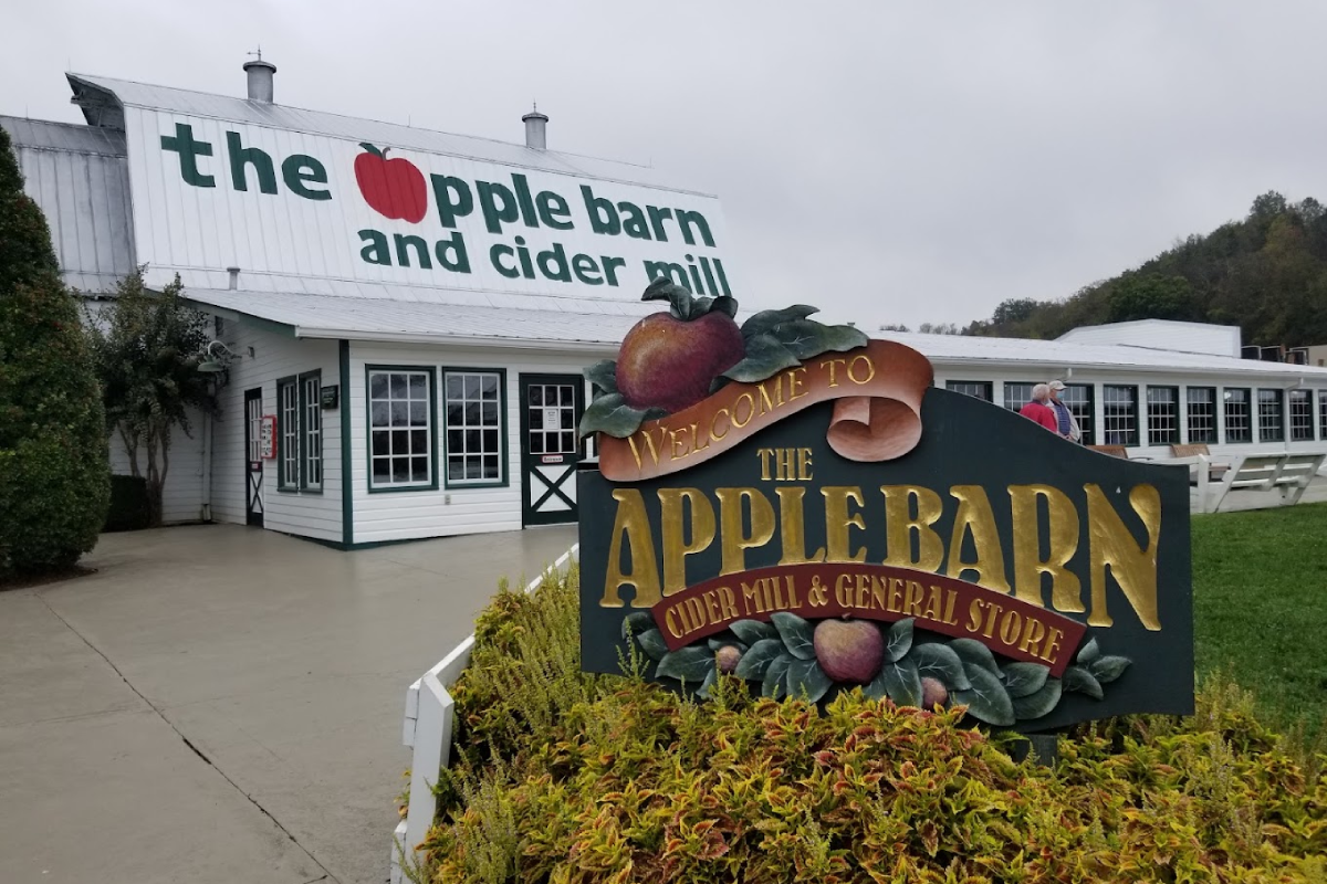These 6 Tennessee Spots Serve Apple Cider Donuts You Can't Miss