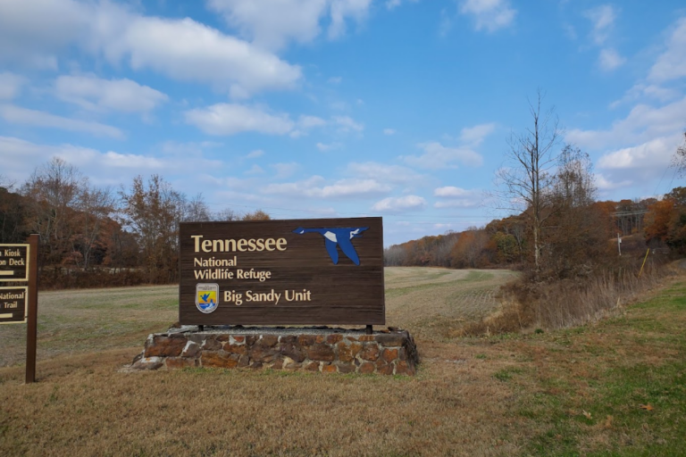 This Little-Known Tennessee Spot Leads to Wetlands, Birds, Wildlife and a Scenic Drive