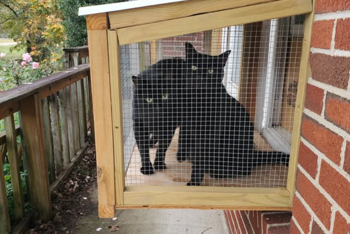 This Tennessee Sanctuary Gives Unwanted Cats And Dogs A Home For As Long As They Need