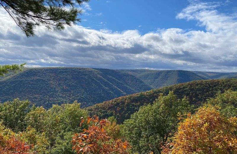 Tiadaghton State Forest, North-Central Pennsylvania