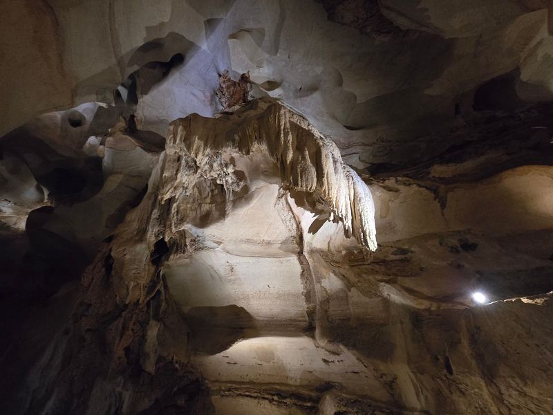 Tiny Tricolored Bats Sleeping Overhead Tiny Tricolored Bats Sleeping Overhead