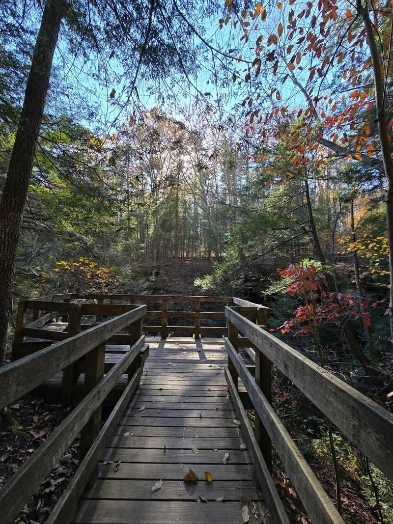 Tips for Planning Your Visit to Conkles Hollow Tips for Planning Your Visit to Conkles Hollow