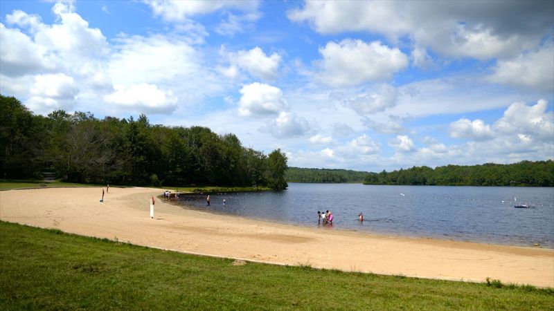 Tobyhanna State Park Beach (Tobyhanna)