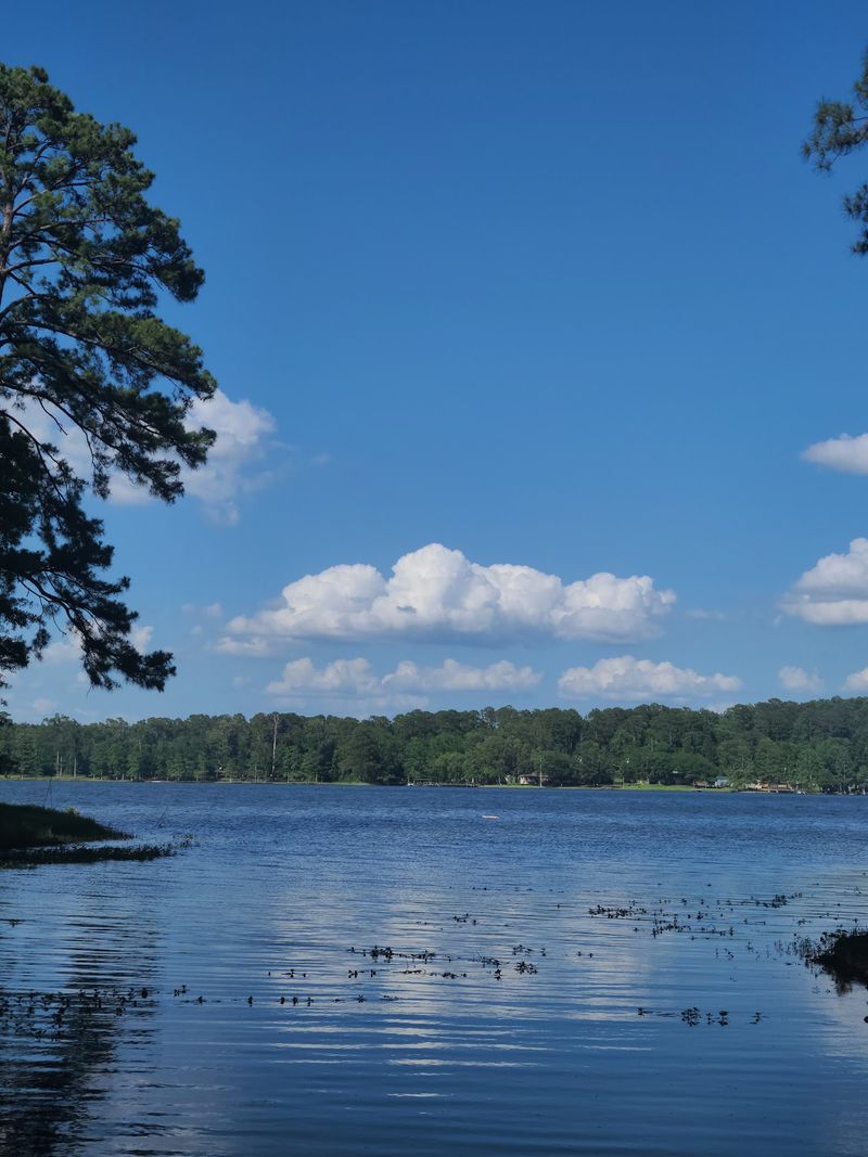 Toledo Bend Reservoir (Hemphill) Toledo Bend Reservoir (Hemphill)