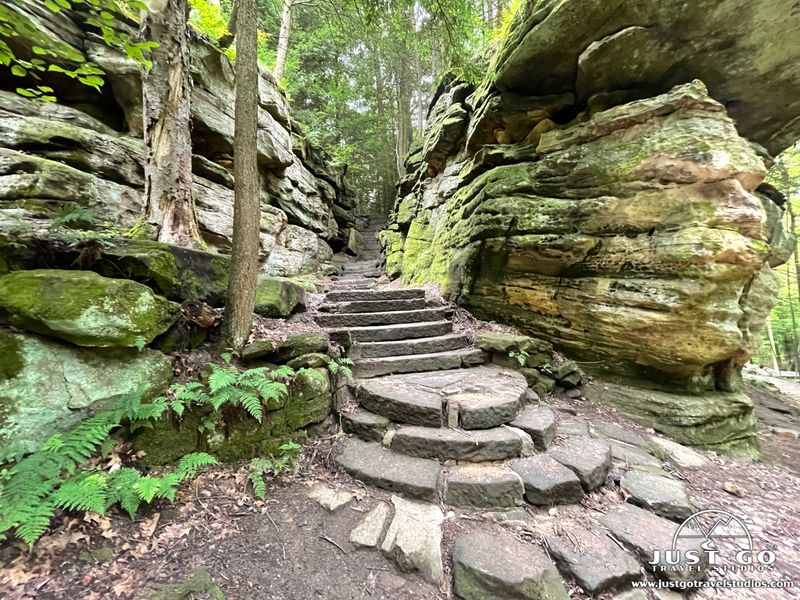 Tracks Near the Towpath - Cuyahoga Valley National Park in Peninsula, Summit County Tracks Near the Towpath - Cuyahoga Valley National Park in Peninsula, Summit County