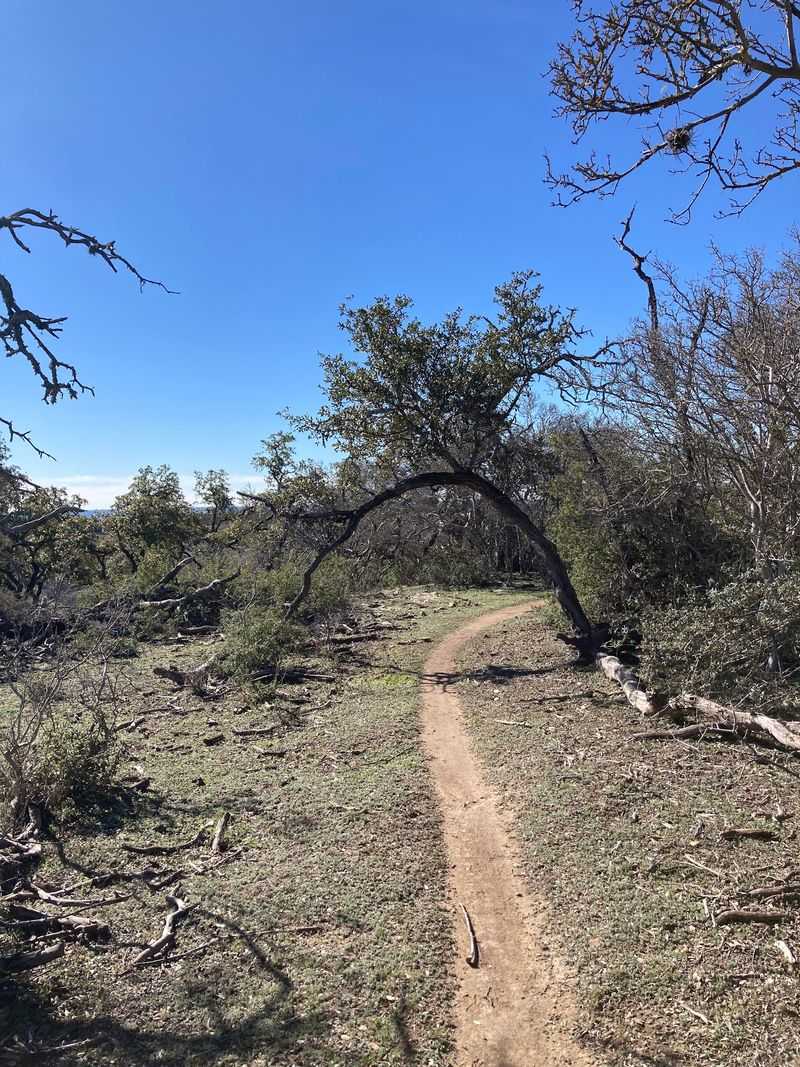 Trail Running Welcome, But No Hiking or Dogs Trail Running Welcome, But No Hiking or Dogs