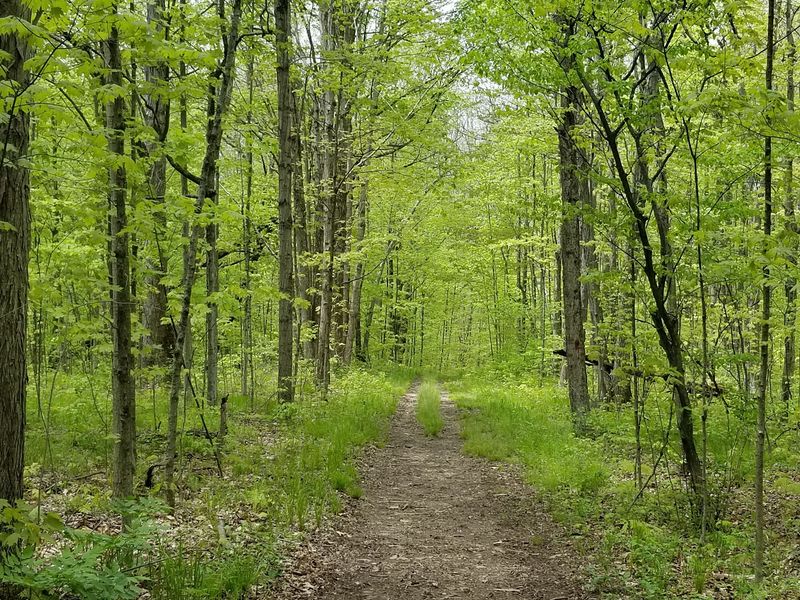 Trails Lead To Quiet Corners