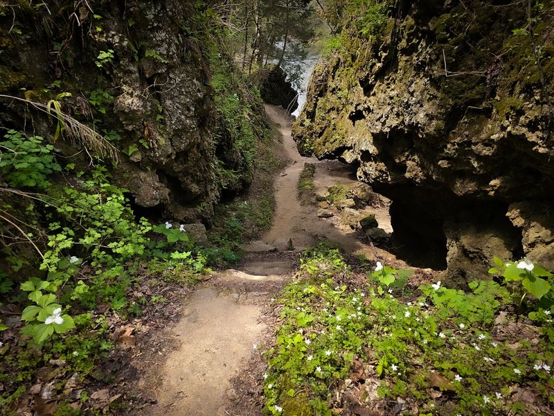 Trails Range From Easy Walks to Steeper Challenges