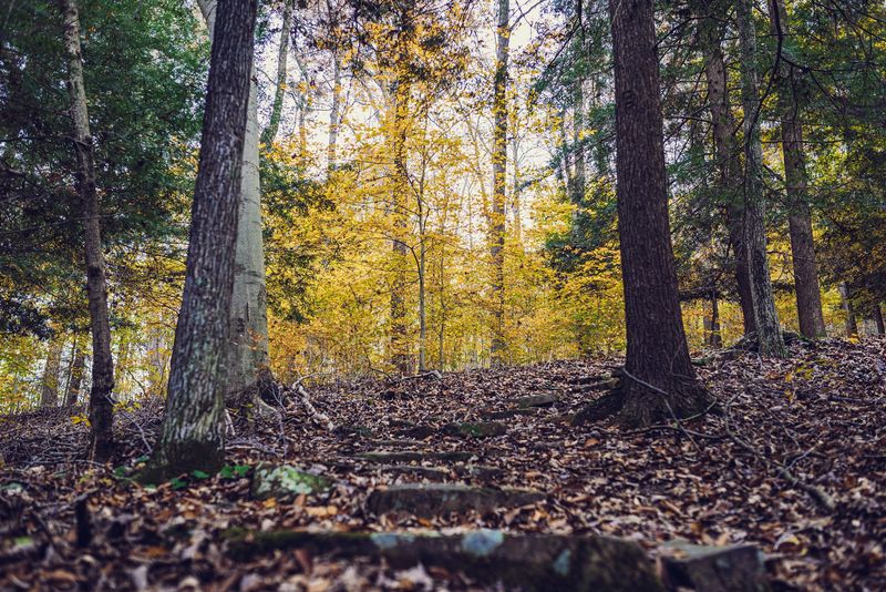 Trails That Feel Bigger Than Ohio Trails That Feel Bigger Than Ohio