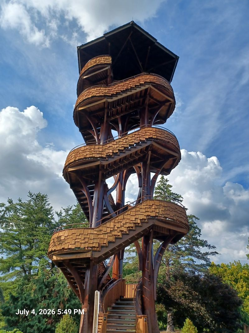 Tree Tower Views That Steal The Show Tree Tower Views That Steal The Show