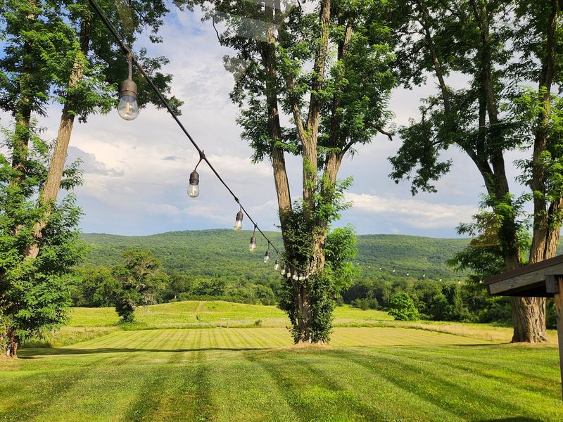 Turn Dinner Into an Unforgettable Day Trip