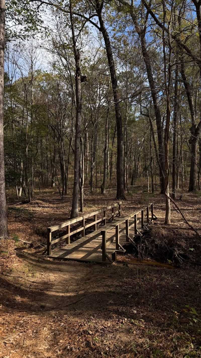 Tyler State Park Lakeshore Trail (Tyler) Tyler State Park Lakeshore Trail (Tyler)