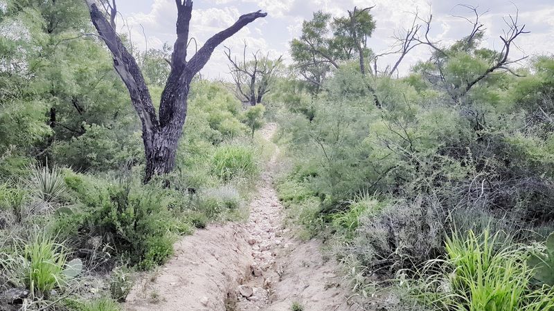 Uneven Ground and Hidden Hazards Uneven Ground and Hidden Hazards