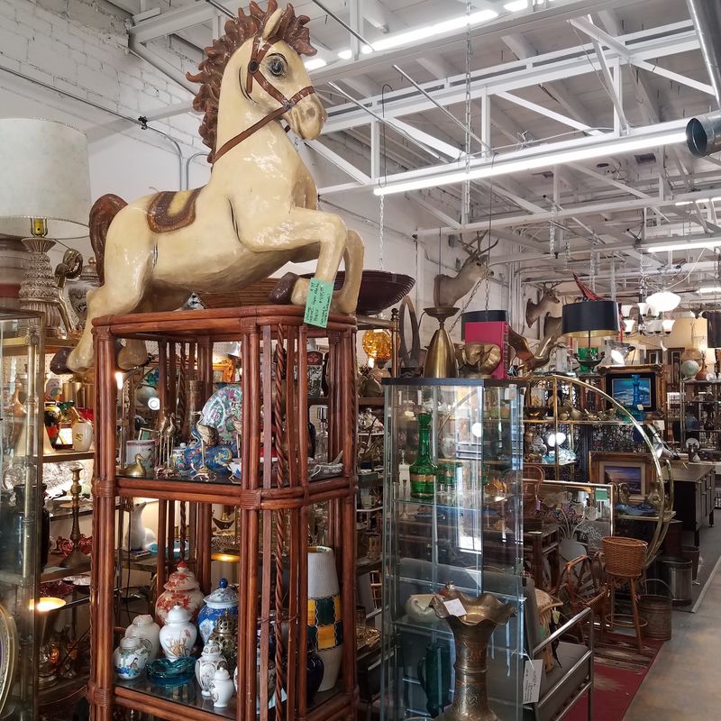 Unexpected Treasures That Make Every Visit Different Unexpected Treasures That Make Every Visit Different