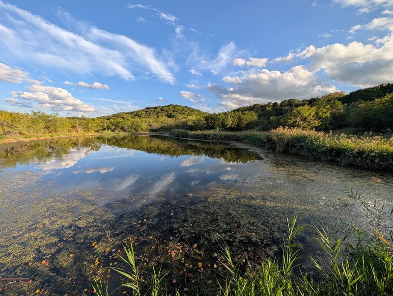 Unexplained Sounds Near Cattail Pond