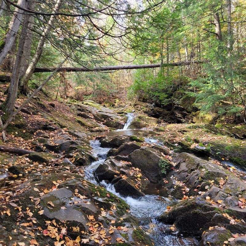 Union Mine Trail - Porcupine Mountains Wilderness State Park Union Mine Trail - Porcupine Mountains Wilderness State Park