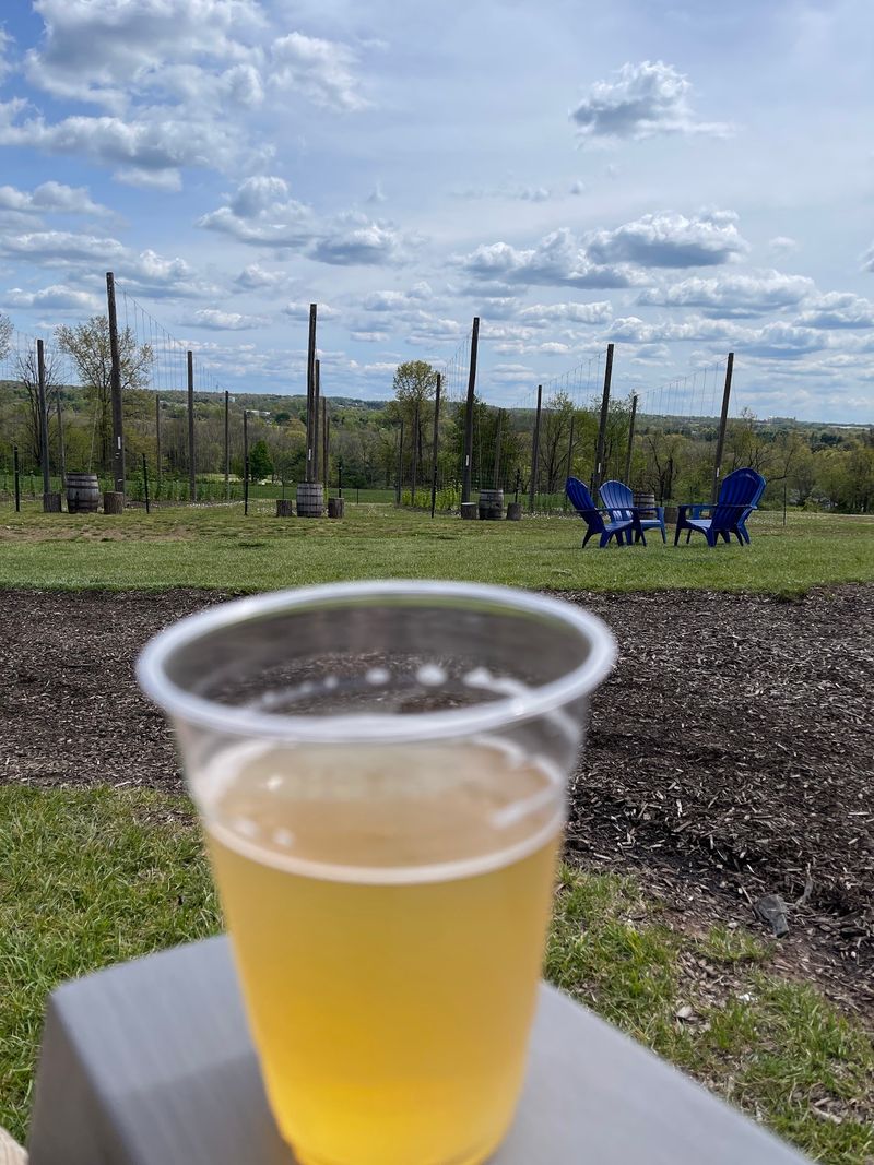 Views That Turn A Pint Into A Pause