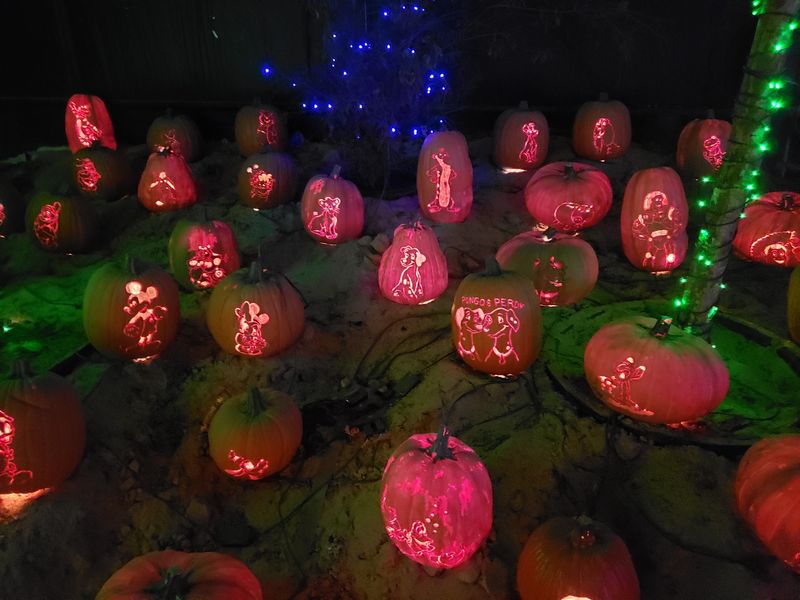 Visit Houston-Area Pumpkin Patches Visit Houston-Area Pumpkin Patches