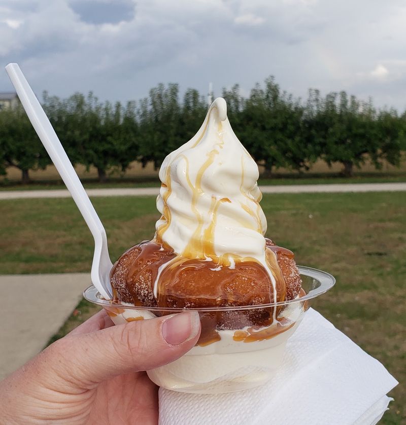 The Donuts That Steal the Day The Donuts That Steal the Day