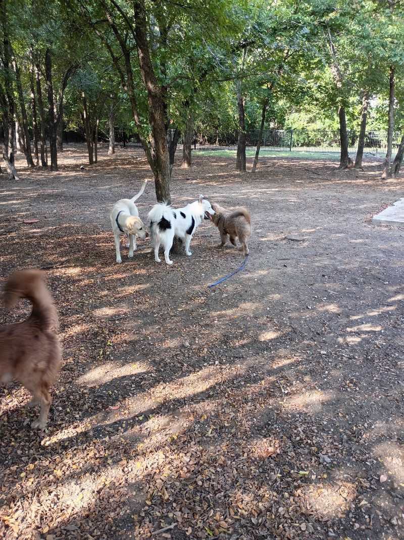 Wagging Tail Dog Park (Dallas) Wagging Tail Dog Park (Dallas)