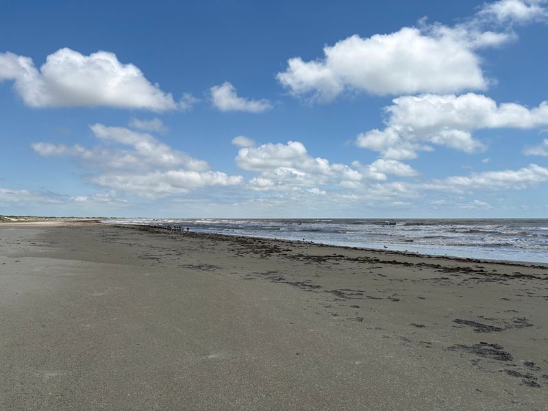 Walking the Empty Shoreline