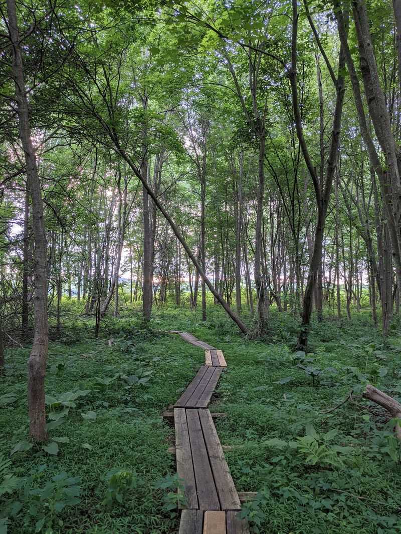 Wallkill River National Wildlife Refuge - Sussex