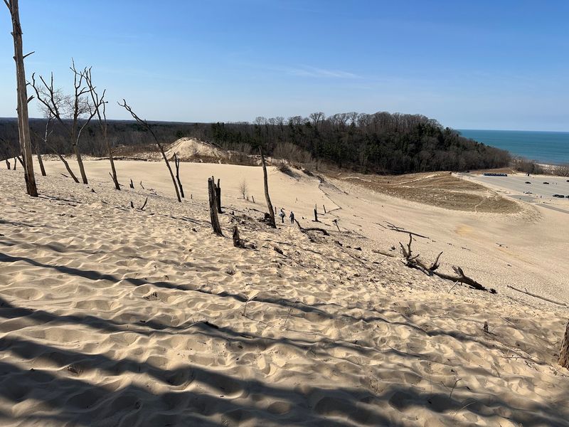 Warren Dunes State Park