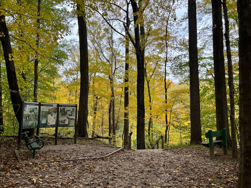 Warren Woods State Park - Three Oaks Warren Woods State Park - Three Oaks