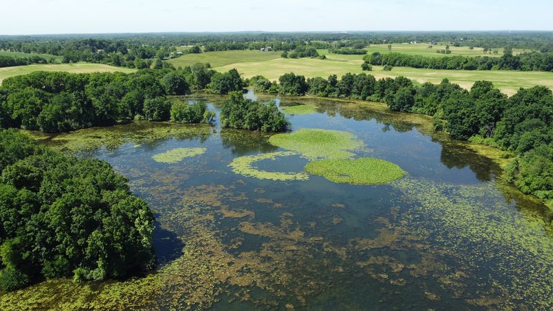 Watkins Lake State Park and County Preserve, Manchester/Brooklyn Area