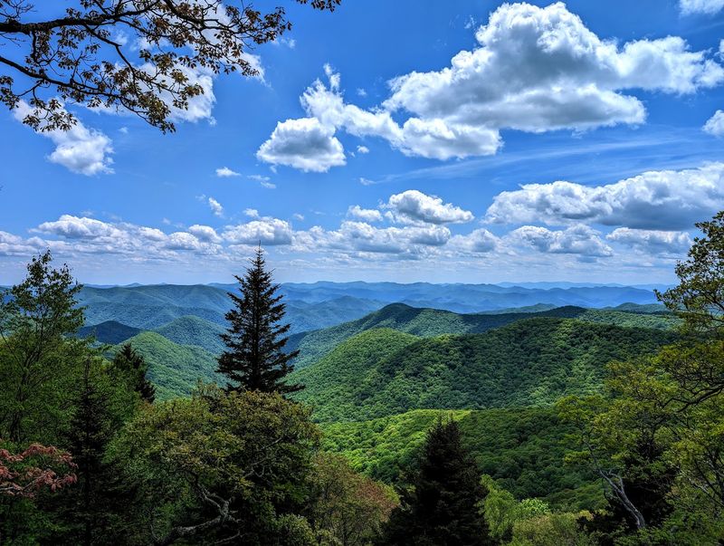 Waynesville Waynesville