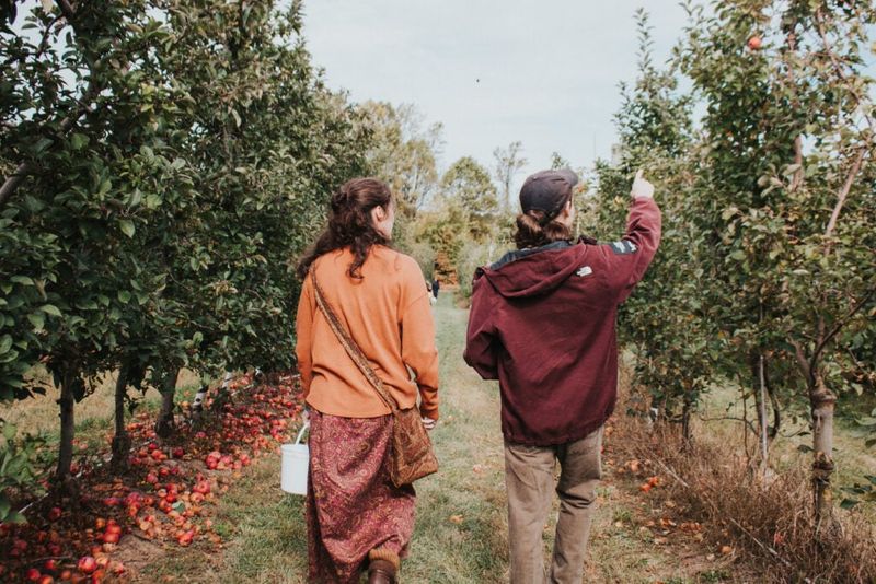 Weaver’s Orchard