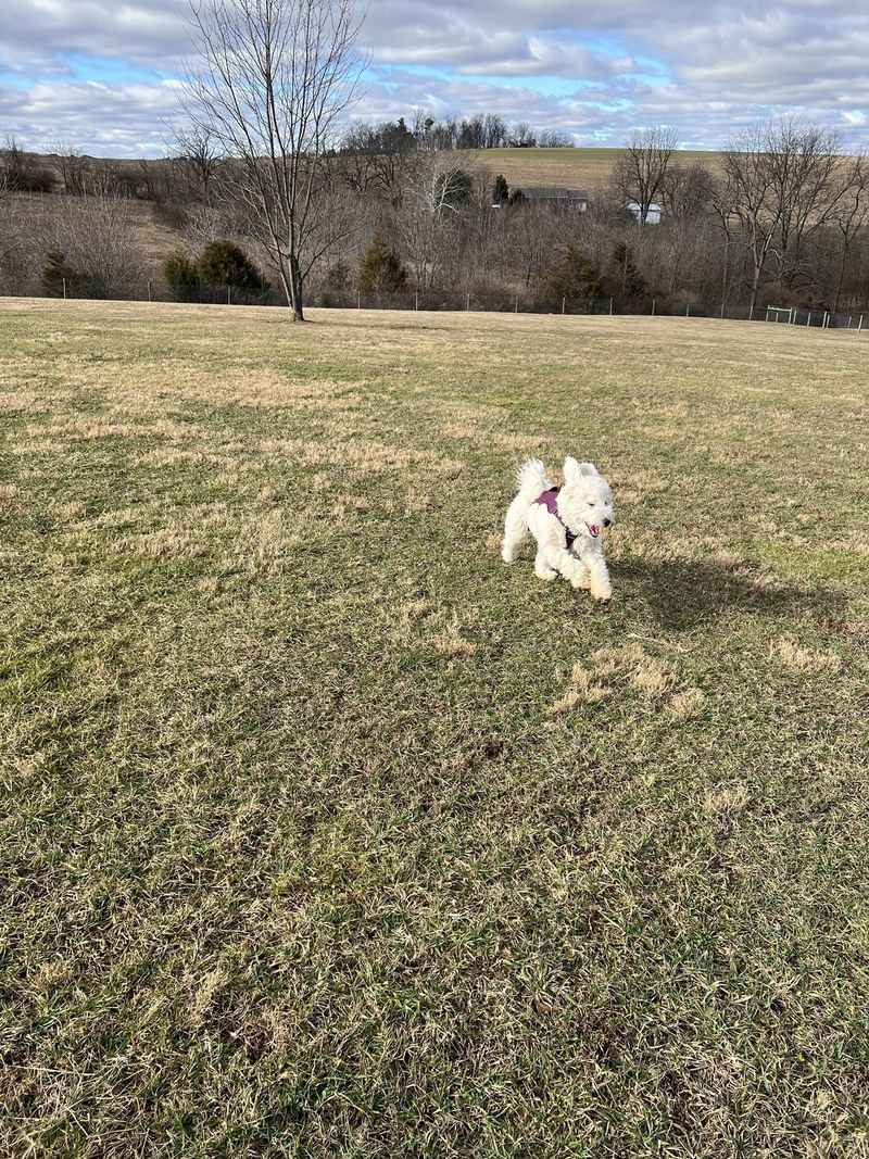 West Manheim Dog Park