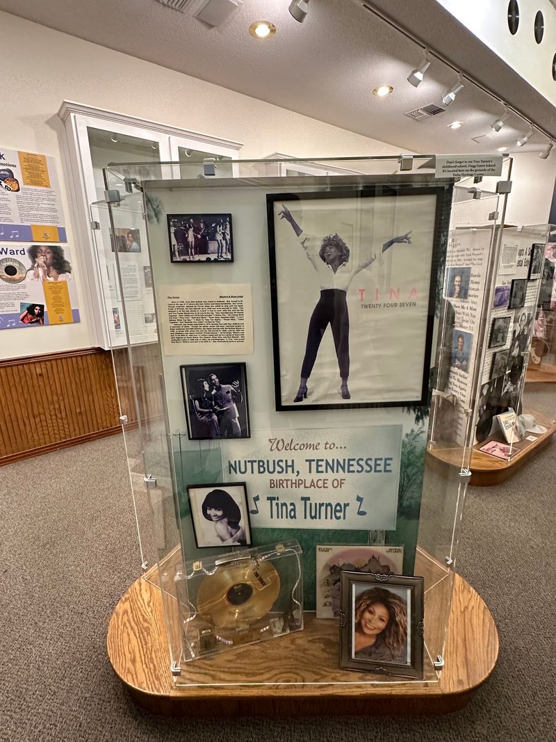 West Tennessee Delta Heritage Center & Tina Turner Museum - Brownsville