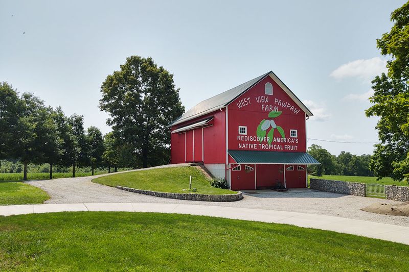 West View Pawpaw Farm, Wooster