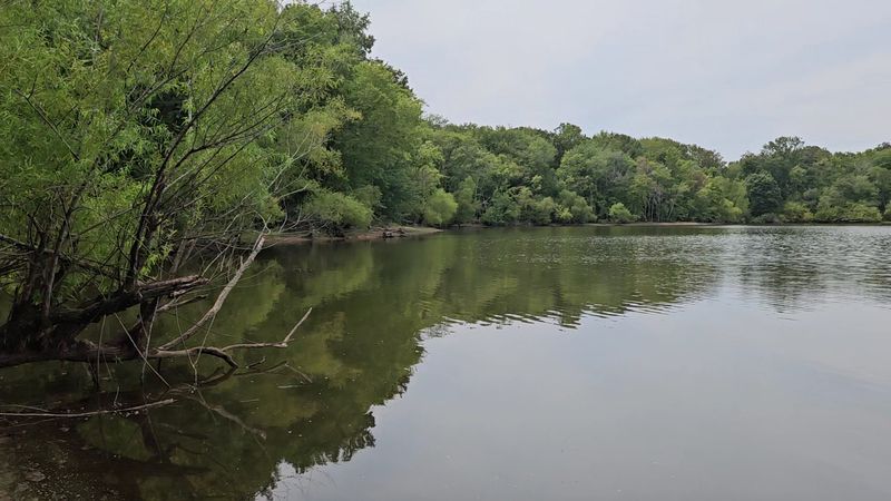 Wetlands, Forests, and Open Water Create a Wildlife Haven
