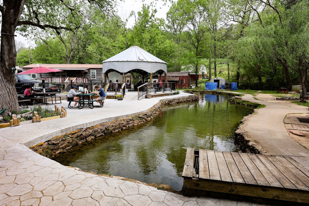 We've Found 7 Tennessee Spots That Will Serve You the Best Trout You've Ever Had