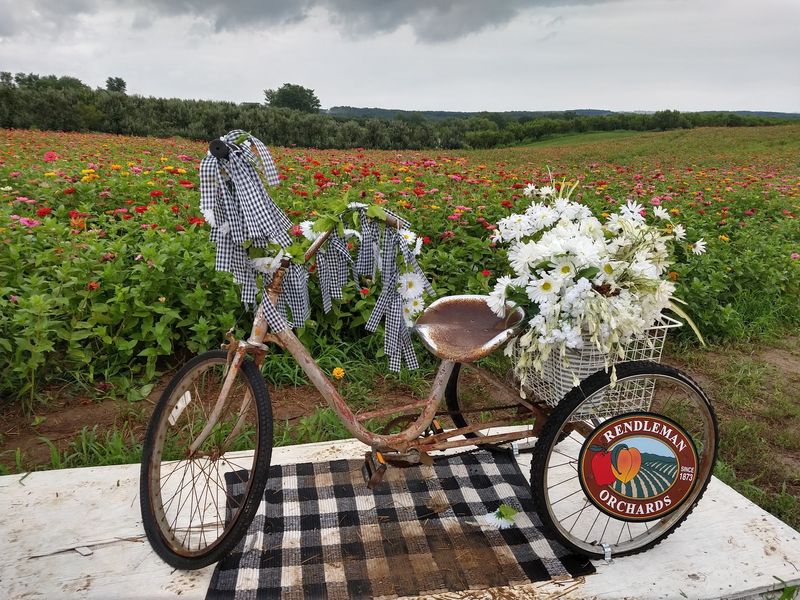 Rendleman Orchards (Alto Pass)
