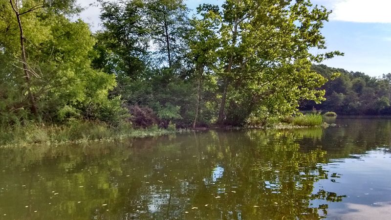 What Makes the Lake's Habitat So Good for Growing Trophy Fish