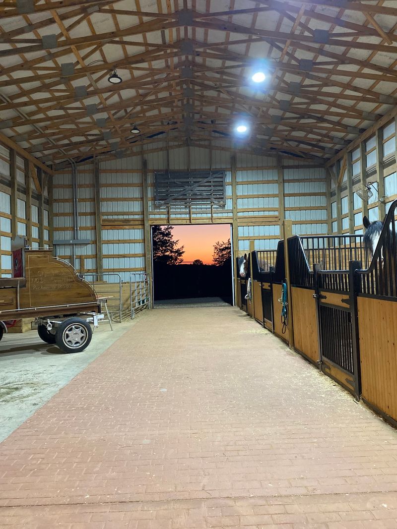 What to Know Before Visiting Clydesdale Farms What to Know Before Visiting Clydesdale Farms