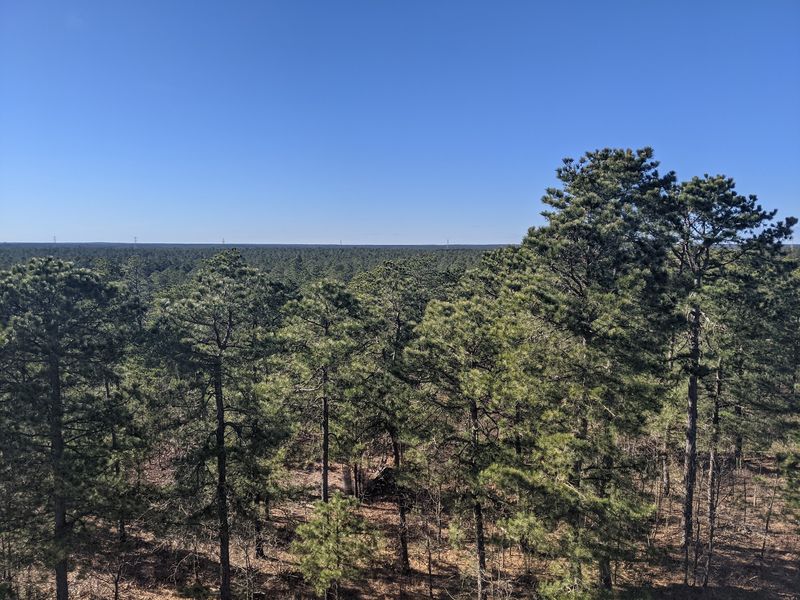 What to Know Before Visiting Jakes Branch County Park
